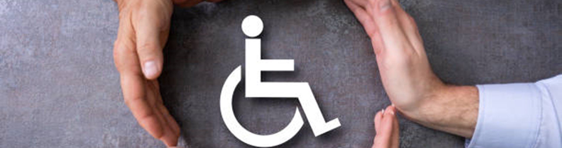 Servizio di Trasporto Scolastico per Alunni con Disabilità